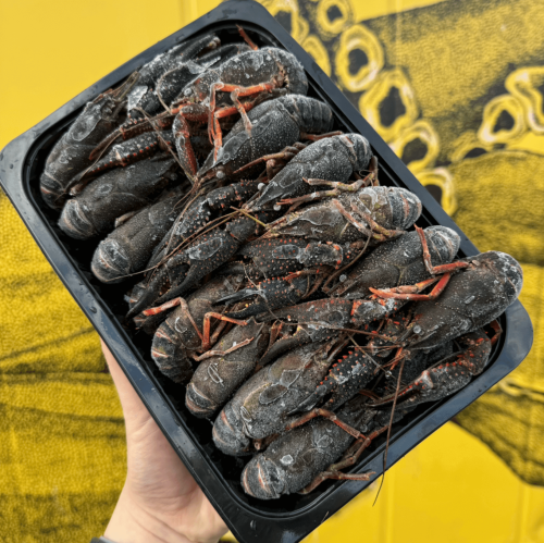 Crawfish (Cooked) 1KG
